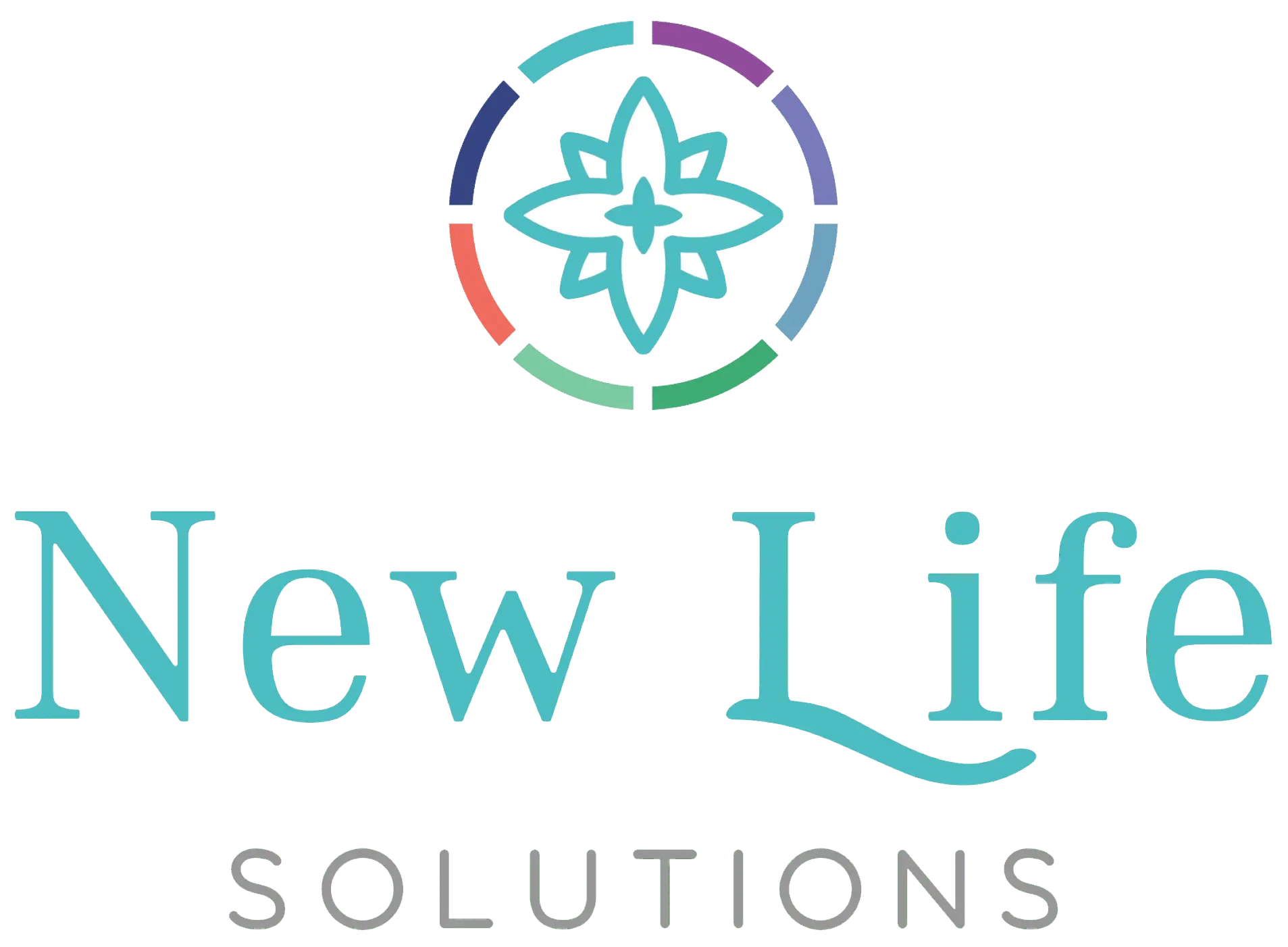 New Life Solutions Jan 2026