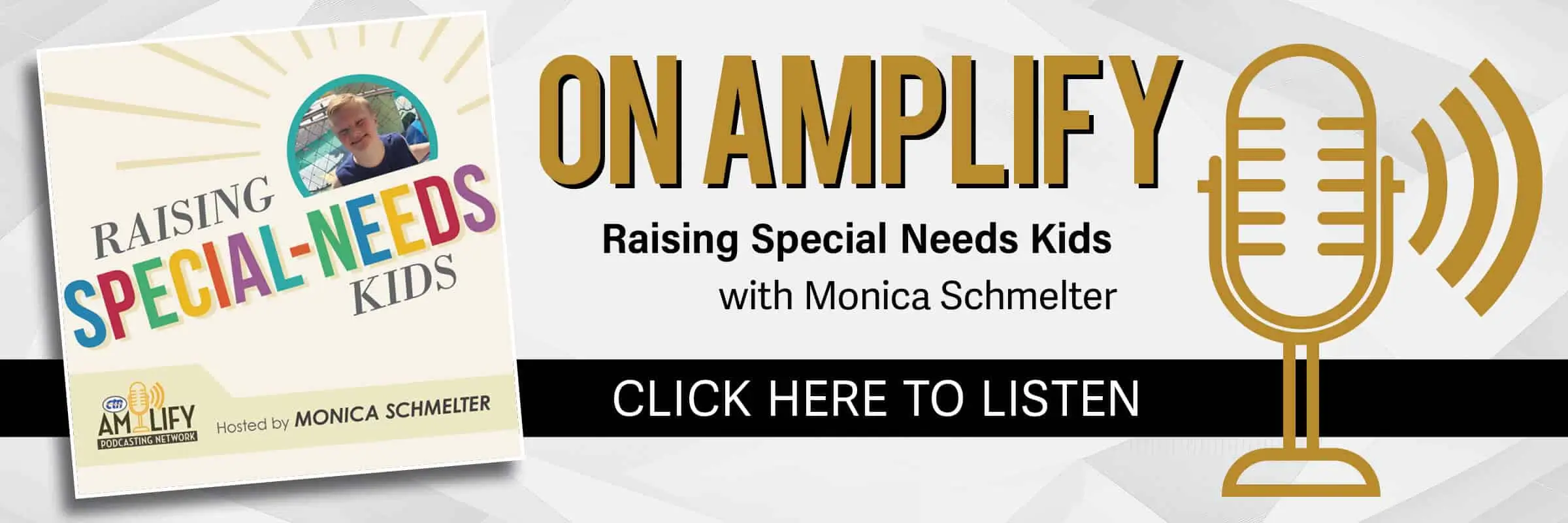 Raising Special Needs Kids Podcast Web Slider
