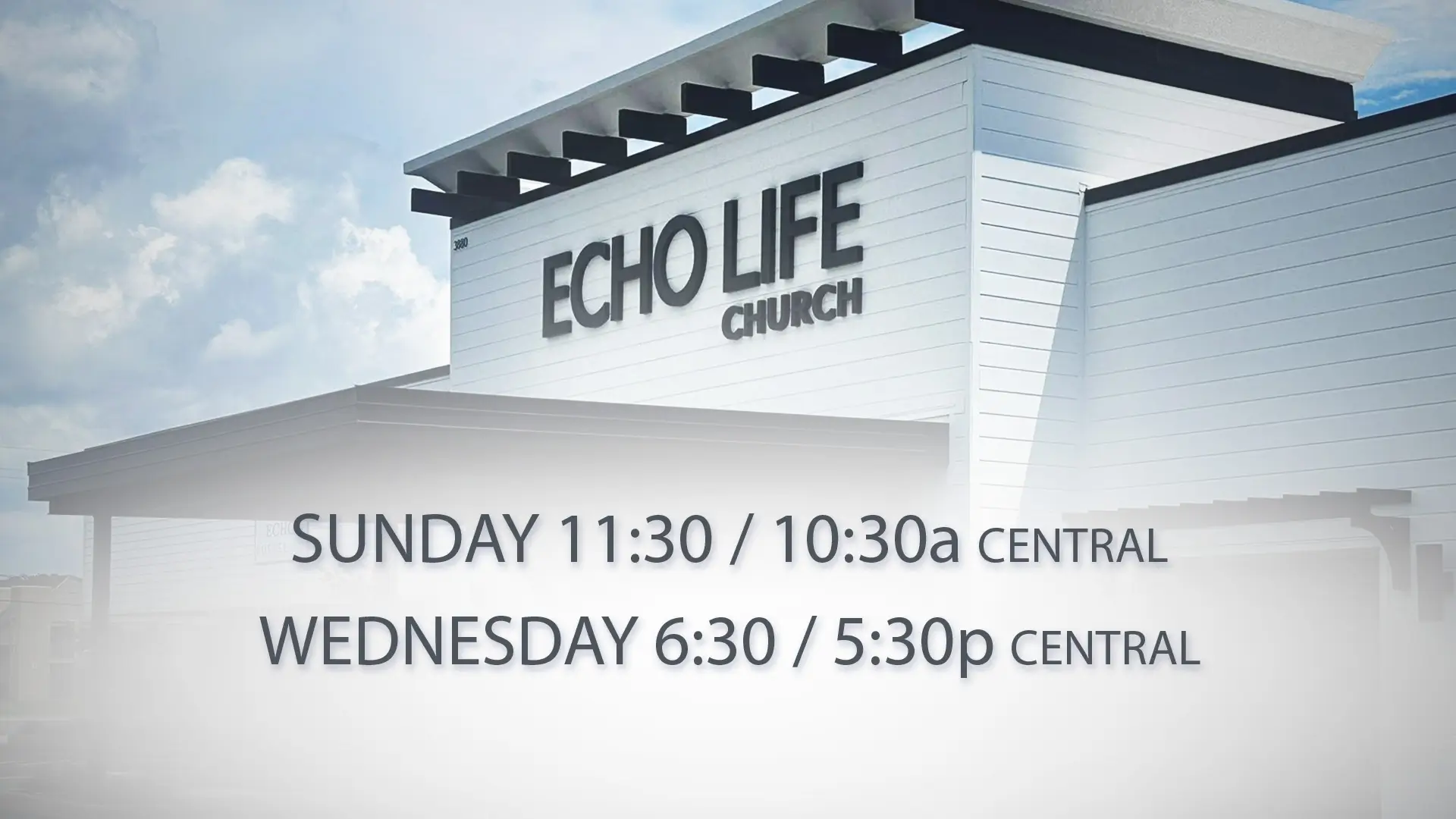 Echo Life Update 2